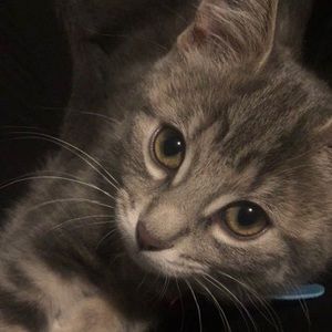 Meet your Posher, Madeline